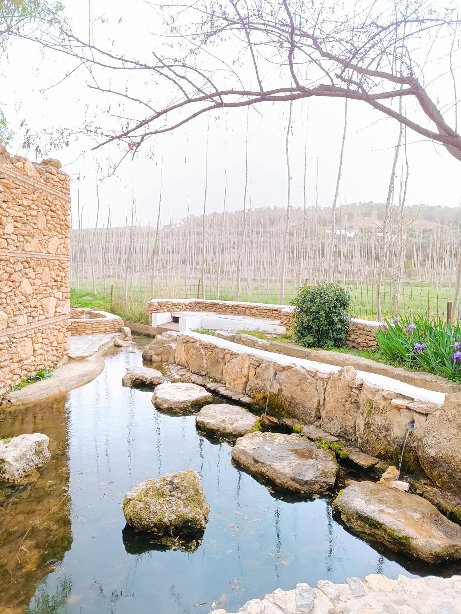 Casa Cueva The Exclusive Royal Andalusian Cave Villa Alcudia de Guadix Eksteriør billede